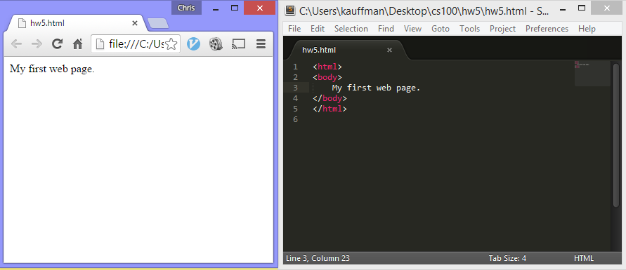 sublime-with-browser.png