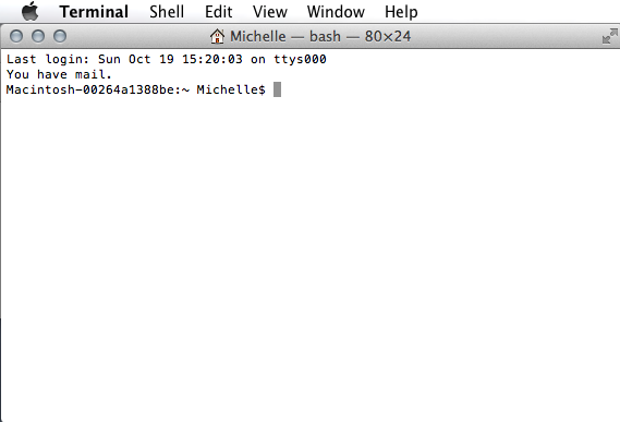terminal-started.png