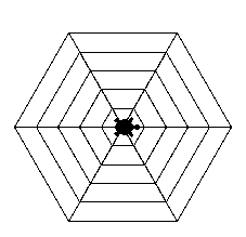 spiderweb.png